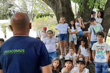 Red de Vías Seguras